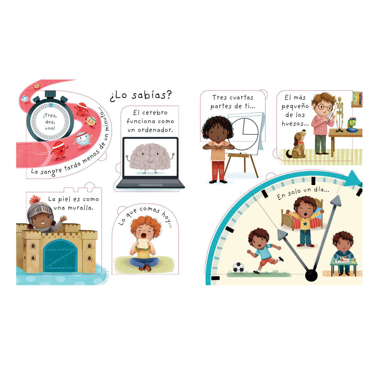 ¿Cómo Soy por Dentro? - Usborne