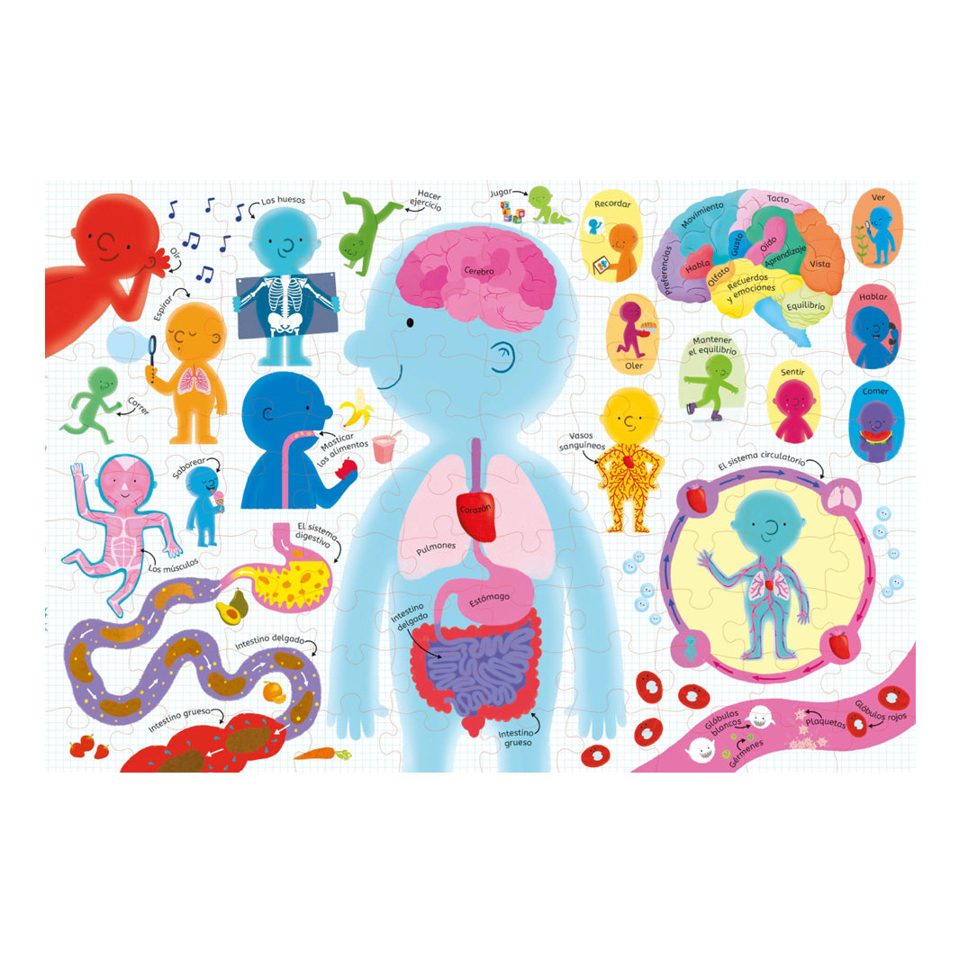 El cuerpo humano - Usborne