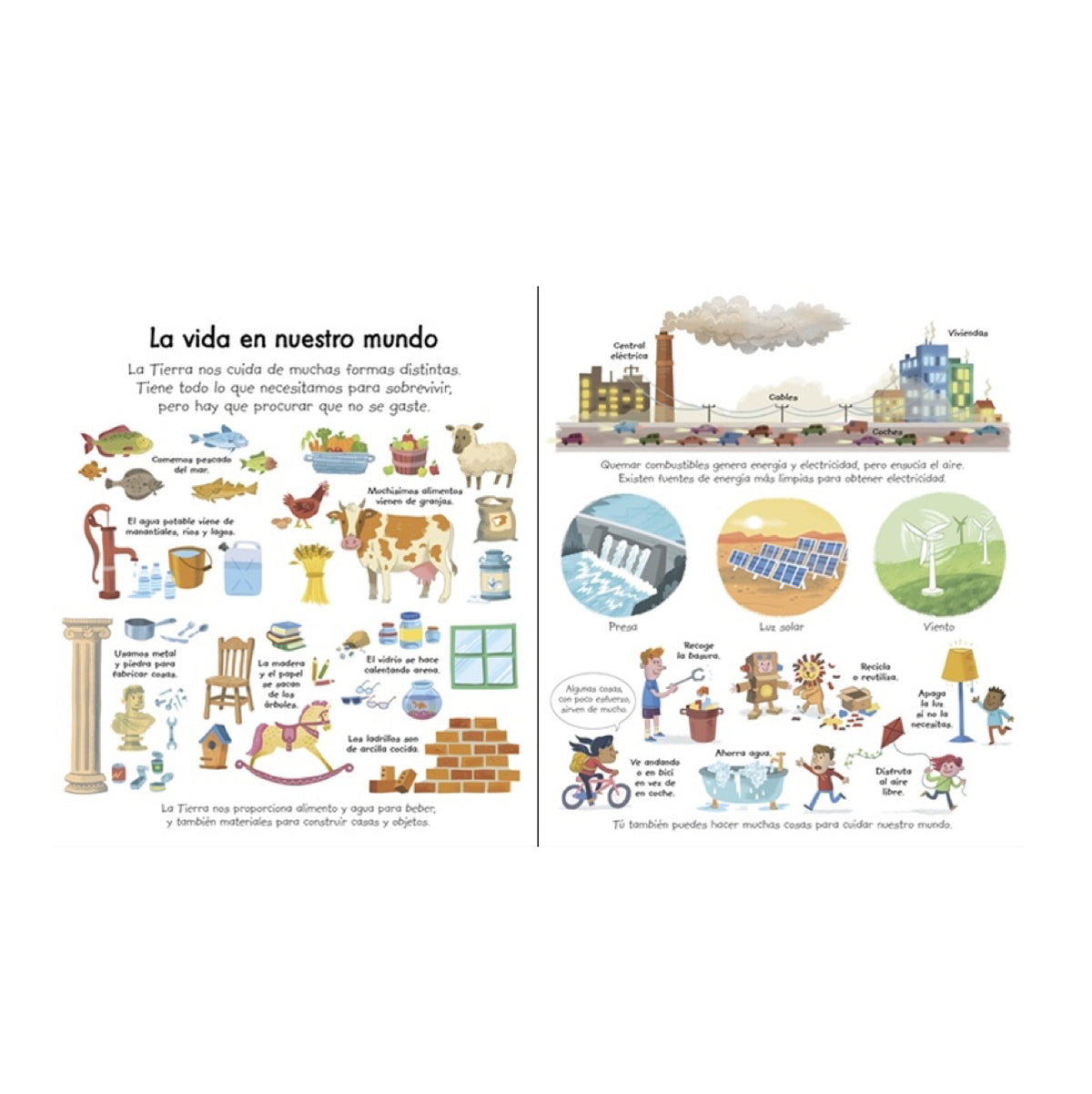 Mi primer libro sobre Nuestro Planeta - Usborne