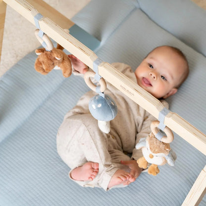 Baby Gym Forest Friends - Little Dutch