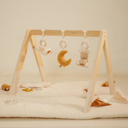 Baby Gym New Born - Little Dutch