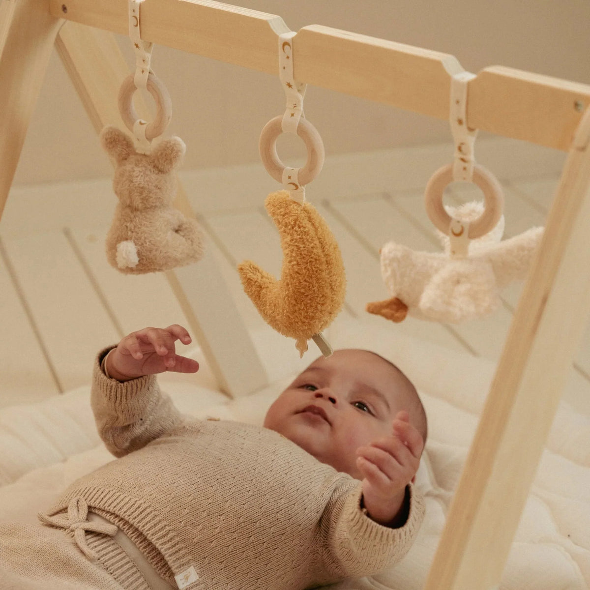 Baby Gym New Born - Little Dutch