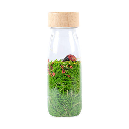 Botella Sensorial Sound Bottle Ladybirds de Petit Boum