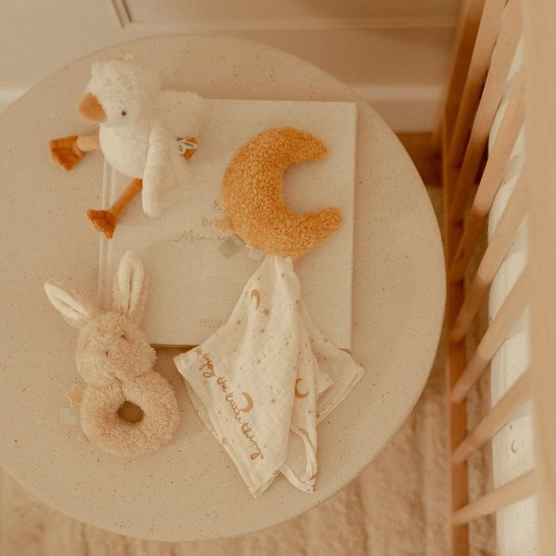 Caja Regalo New Born - Little Dutch