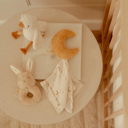 Caja Regalo New Born - Little Dutch