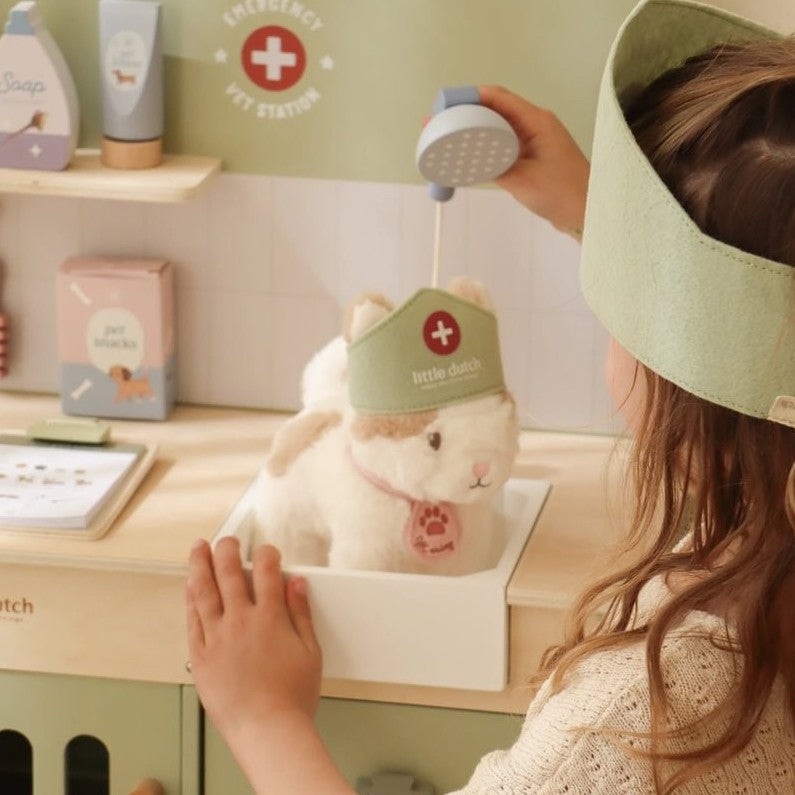 Clínica Veterinaria de Madera - Little Dutch