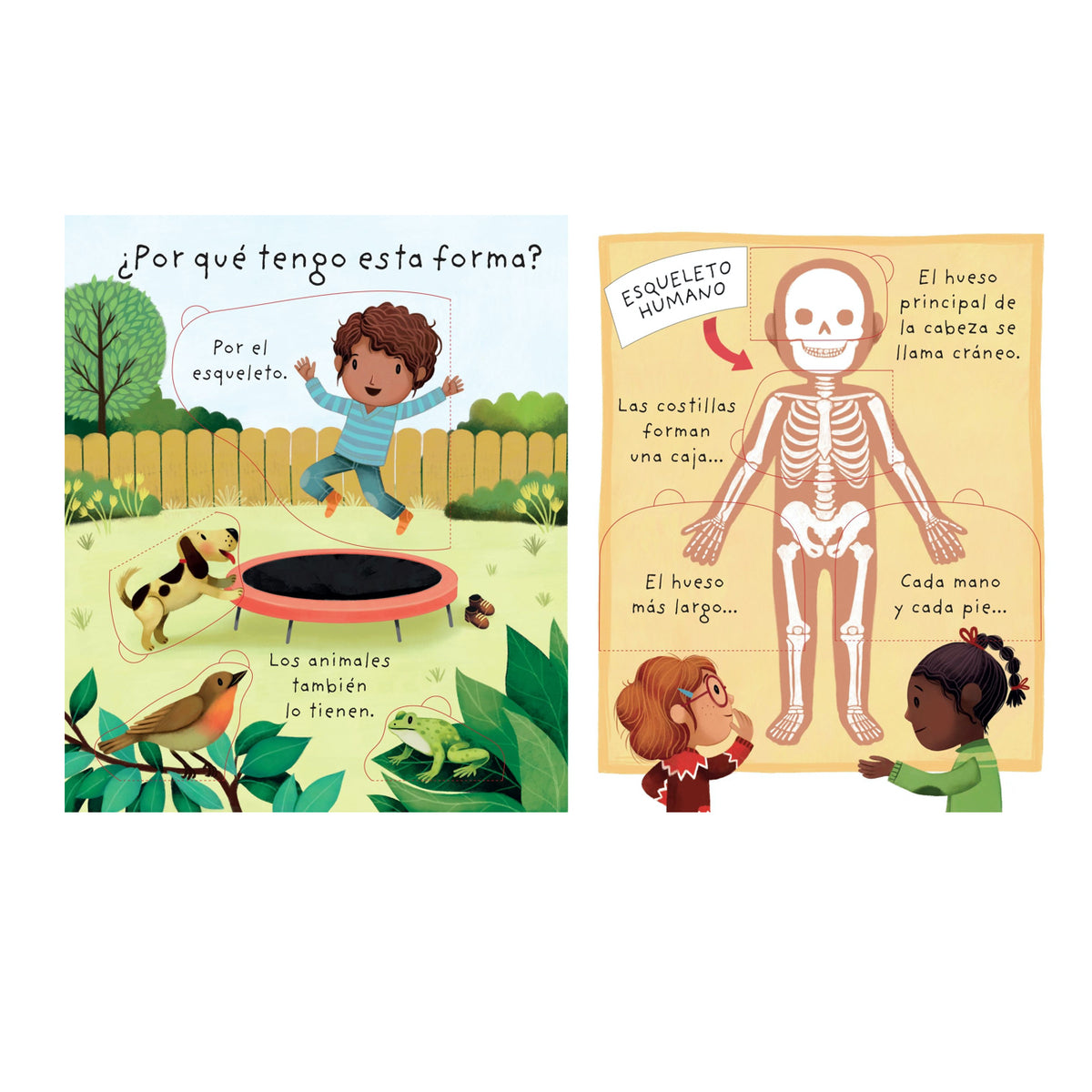 ¿Cómo Soy por Dentro? - Usborne