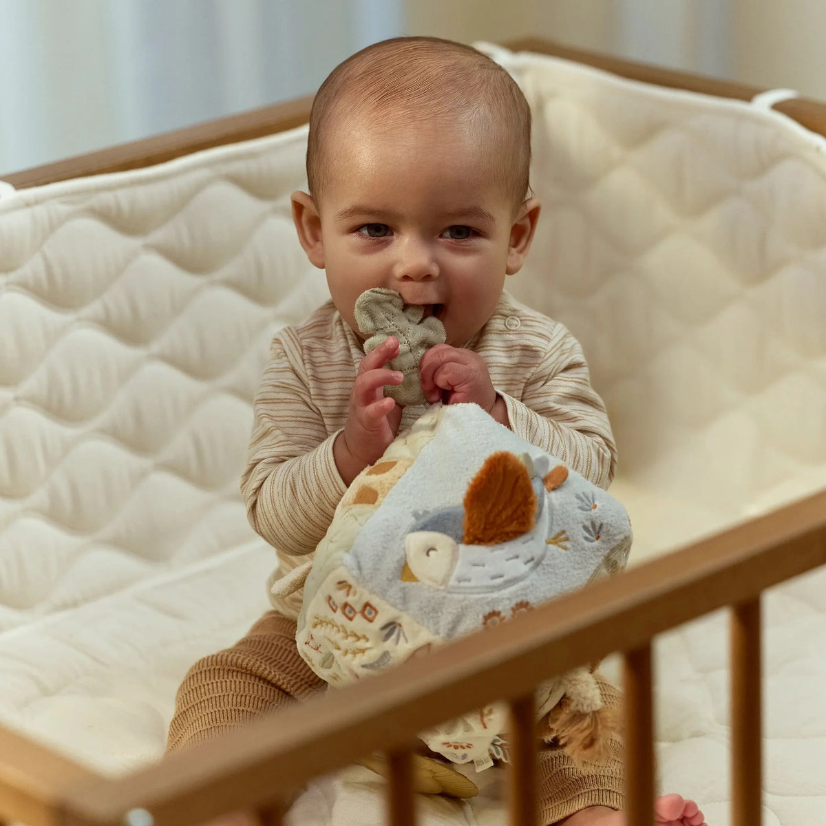 Cubo Blandito de Actividades Safari Friends - Little Dutch