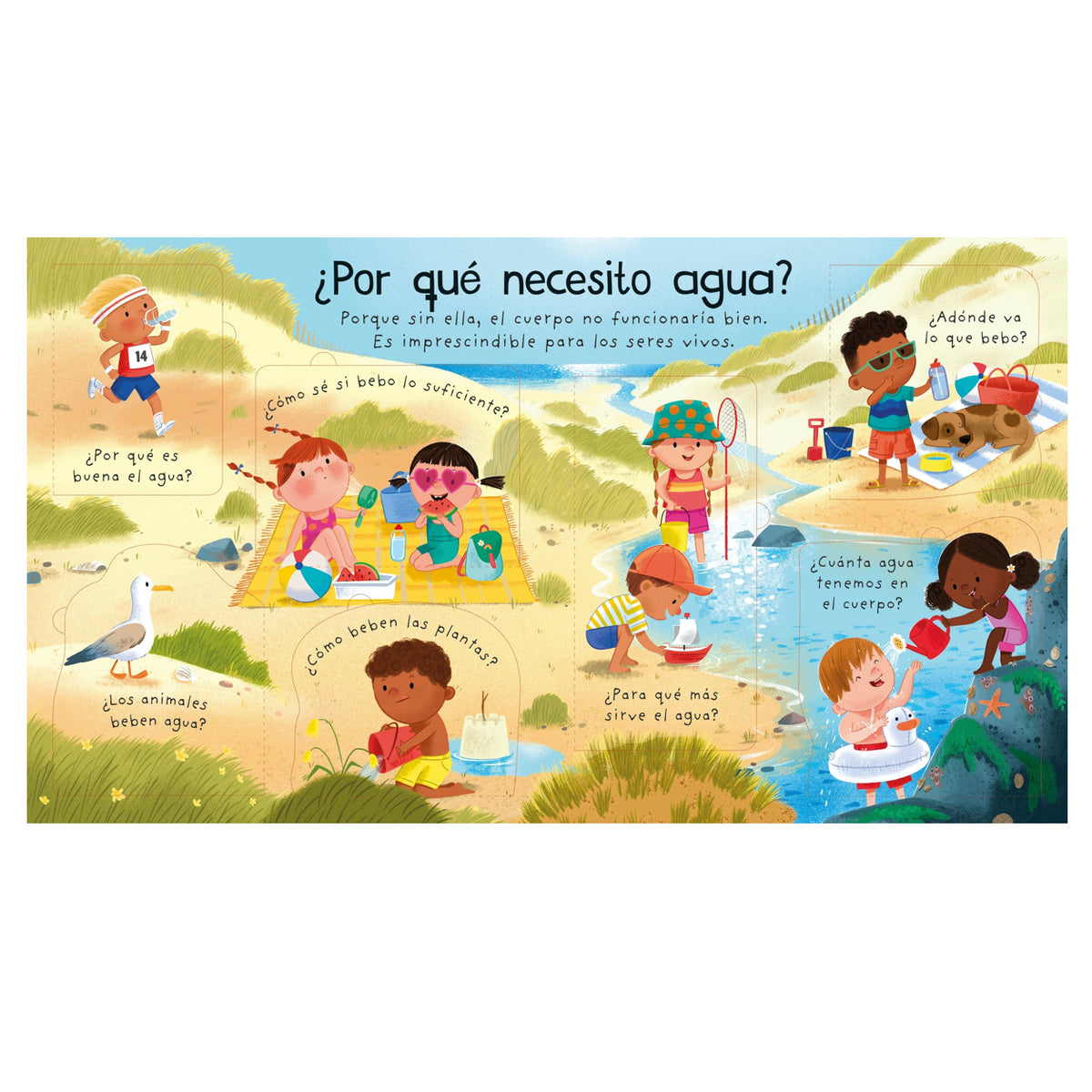 ¿De dónde sale el agua? - Usborne