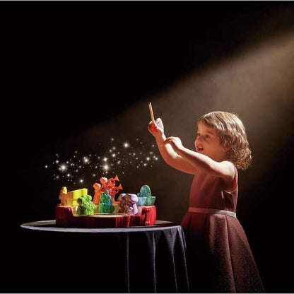 Director Mini Orquesta - Hape