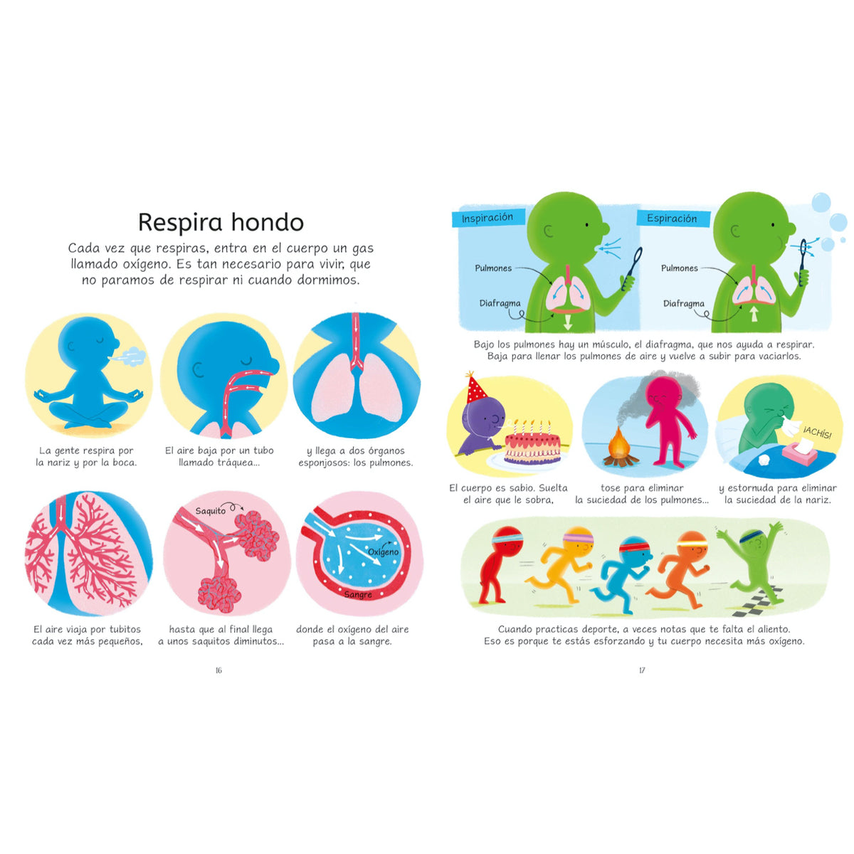 El cuerpo humano - Usborne
