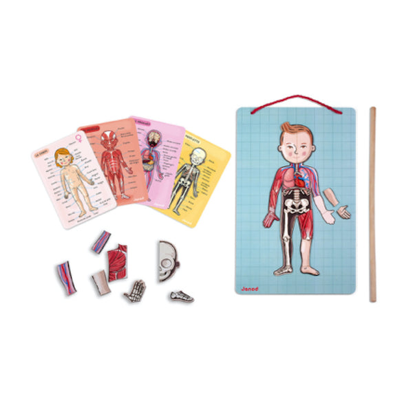 Juego de Anatomía Bodymagnet de Janod