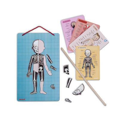 Juego de Anatomía Bodymagnet - Janod