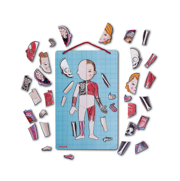 Juego de Anatomía Bodymagnet - Janod