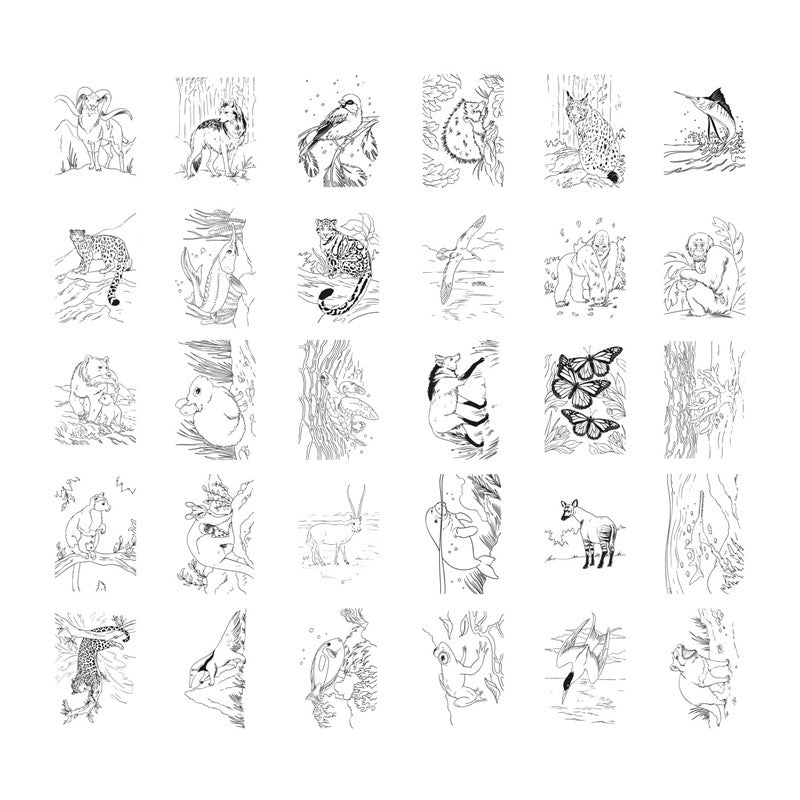 Kidydraw Pad Animales - Kidywolf