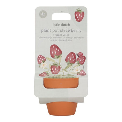 Maceta Planta Fresas - Little Dutch