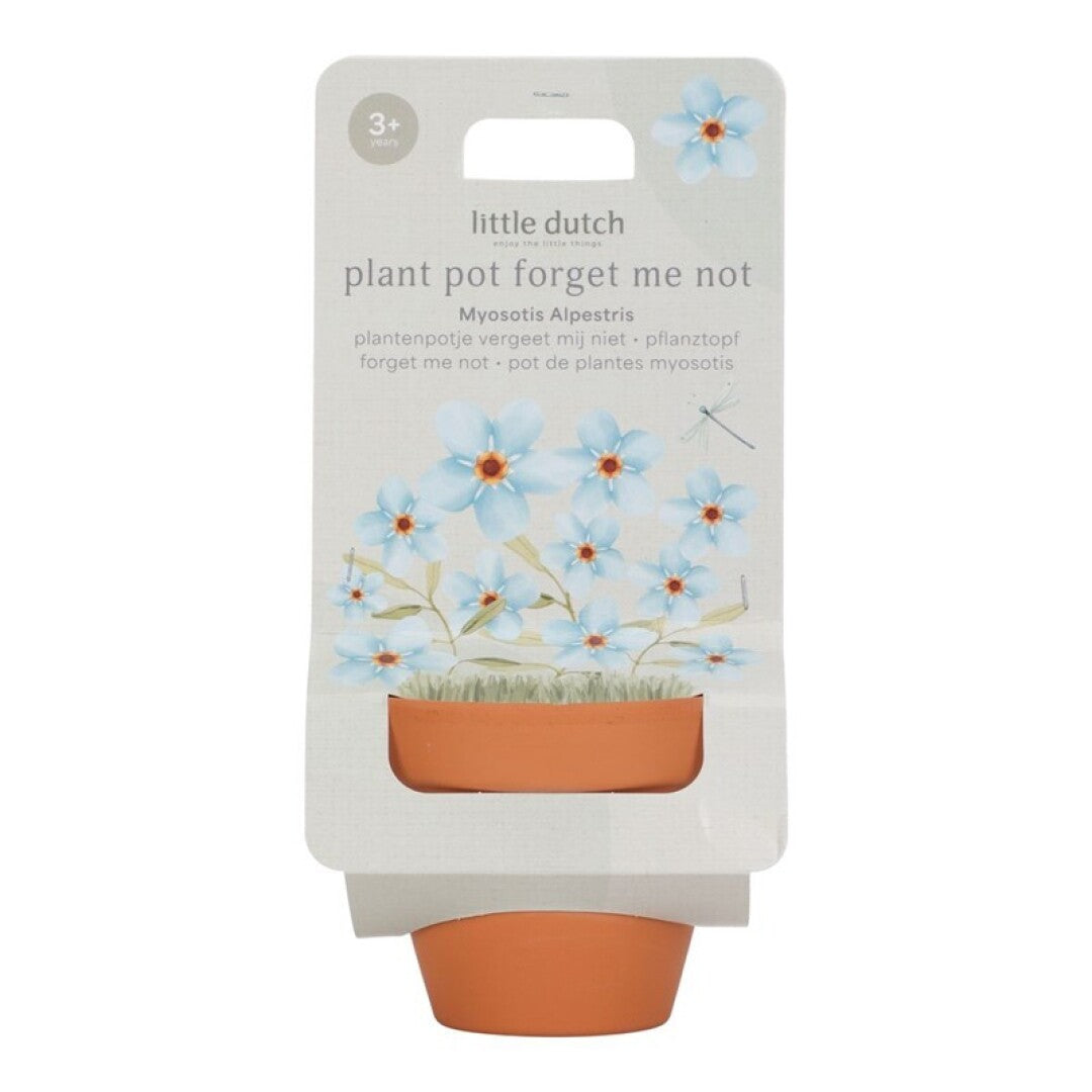 Maceta Planta No Me Olvides - Little Dutch