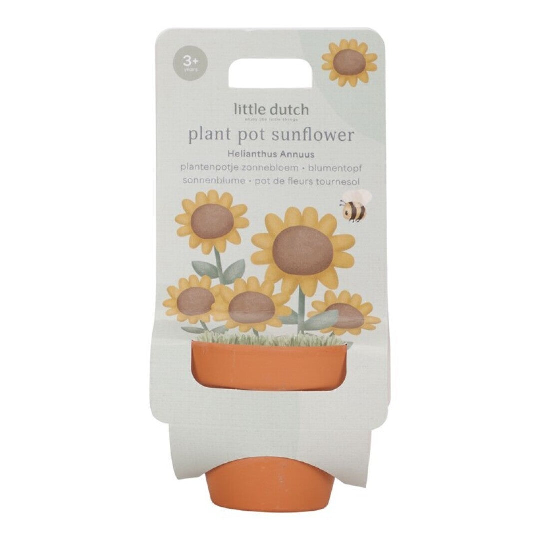 Maceta Planta un Girasol - Little Dutch