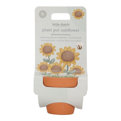 Maceta Planta un Girasol - Little Dutch