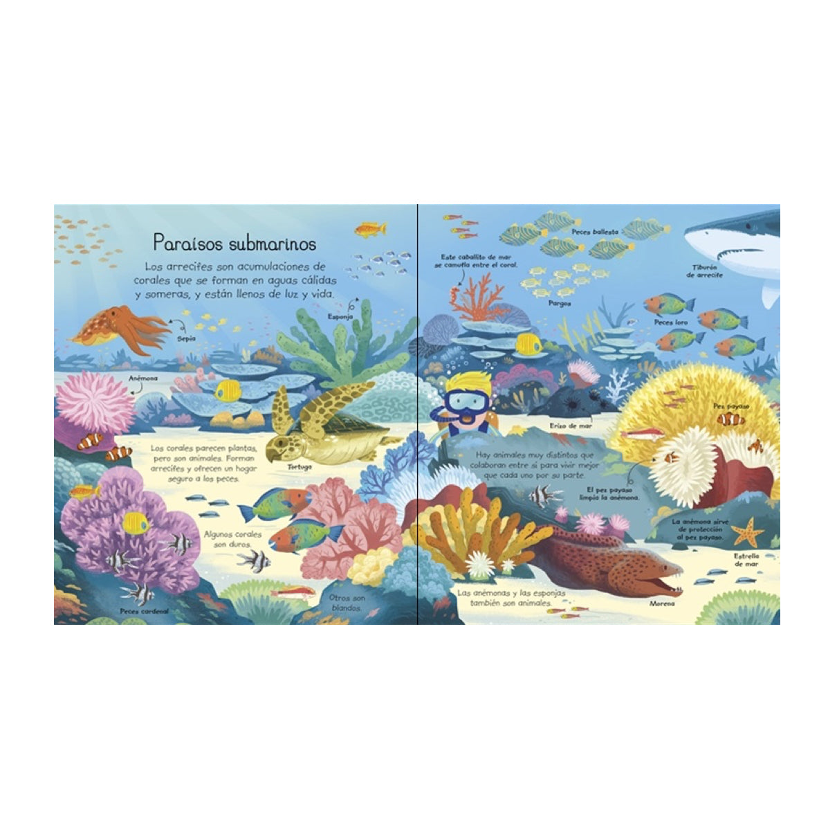 Mi primer libro sobre Los Animales - Usborne