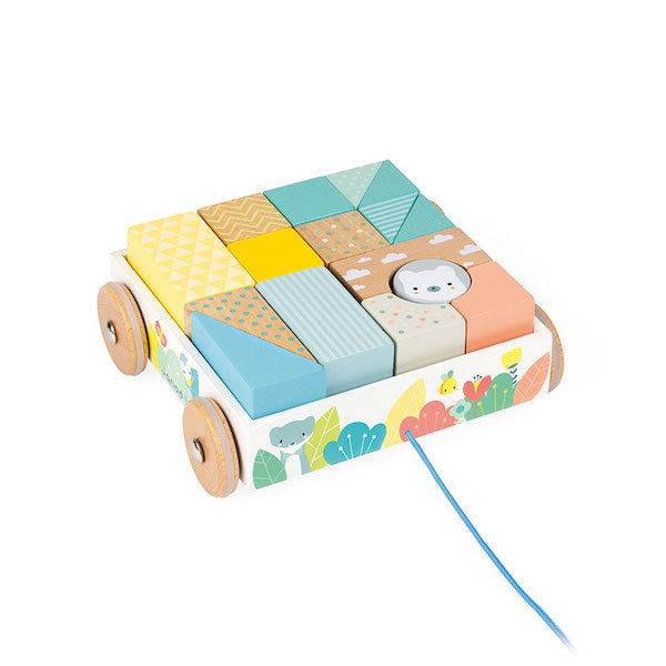 Mini Carrito con Cubos Pure - Janod