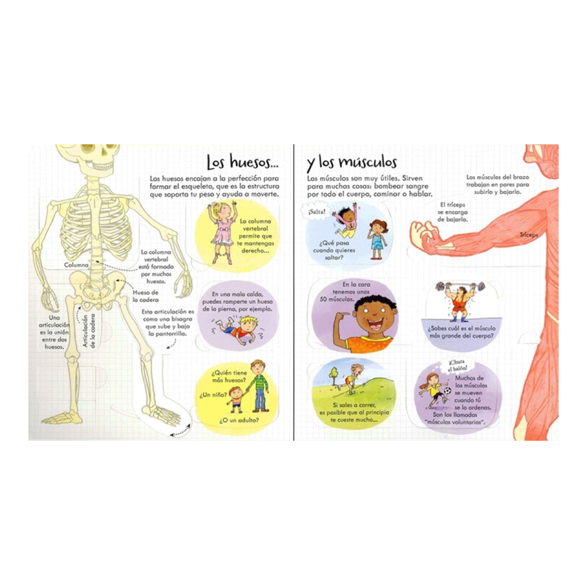 ¡Mira debajo! Tu Cuerpo - Usborne