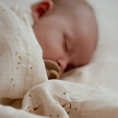 Muselina / Mantita New Born - Little Dutch