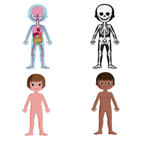 Puzzle Educativo Cuerpo Humano - Janod