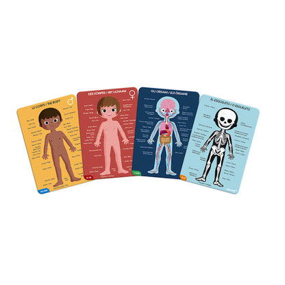 Puzzle Educativo Cuerpo Humano - Janod