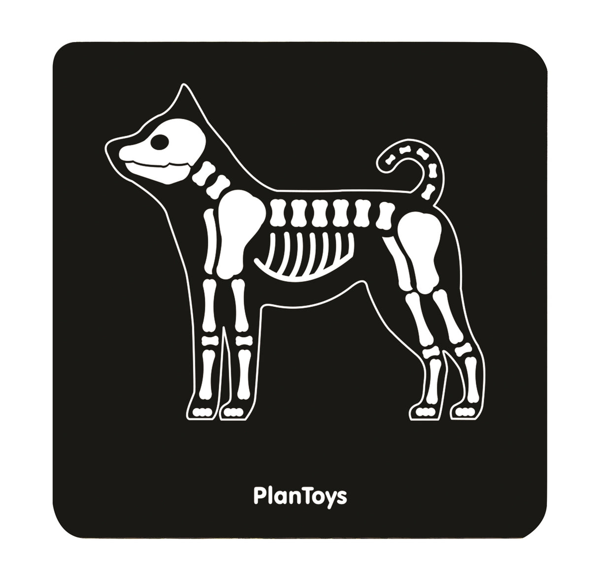 Set Veterinario - Plantoys