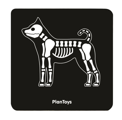 Set Veterinario - Plantoys