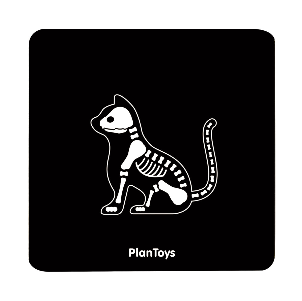 Set Veterinario - Plantoys