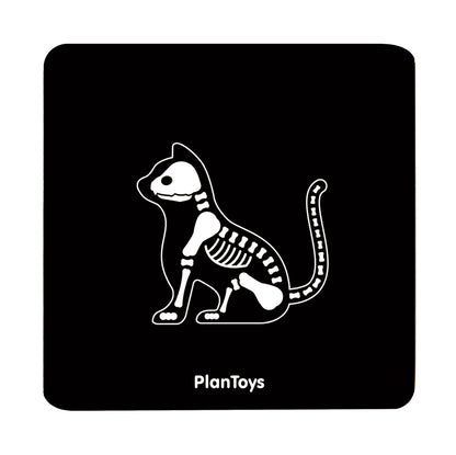 Set Veterinario - Plantoys