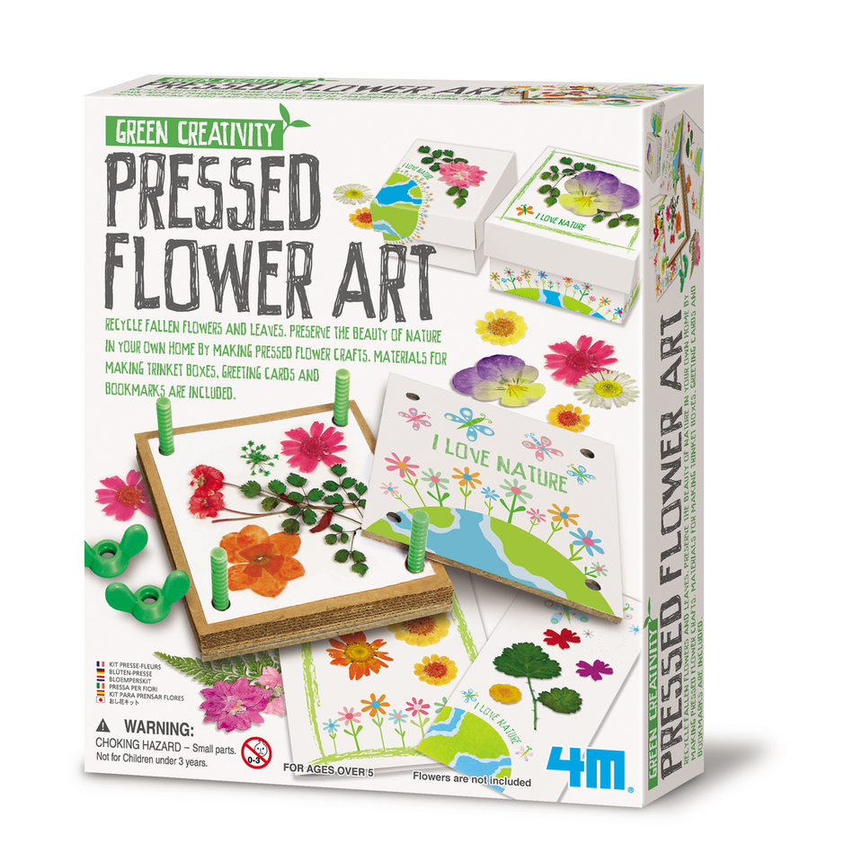 Taller de Flores Prensadas Green Creativity - 4M
