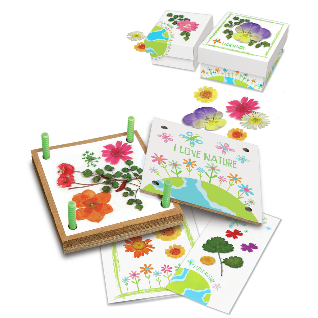 Taller de Flores Prensadas Green Creativity - 4M