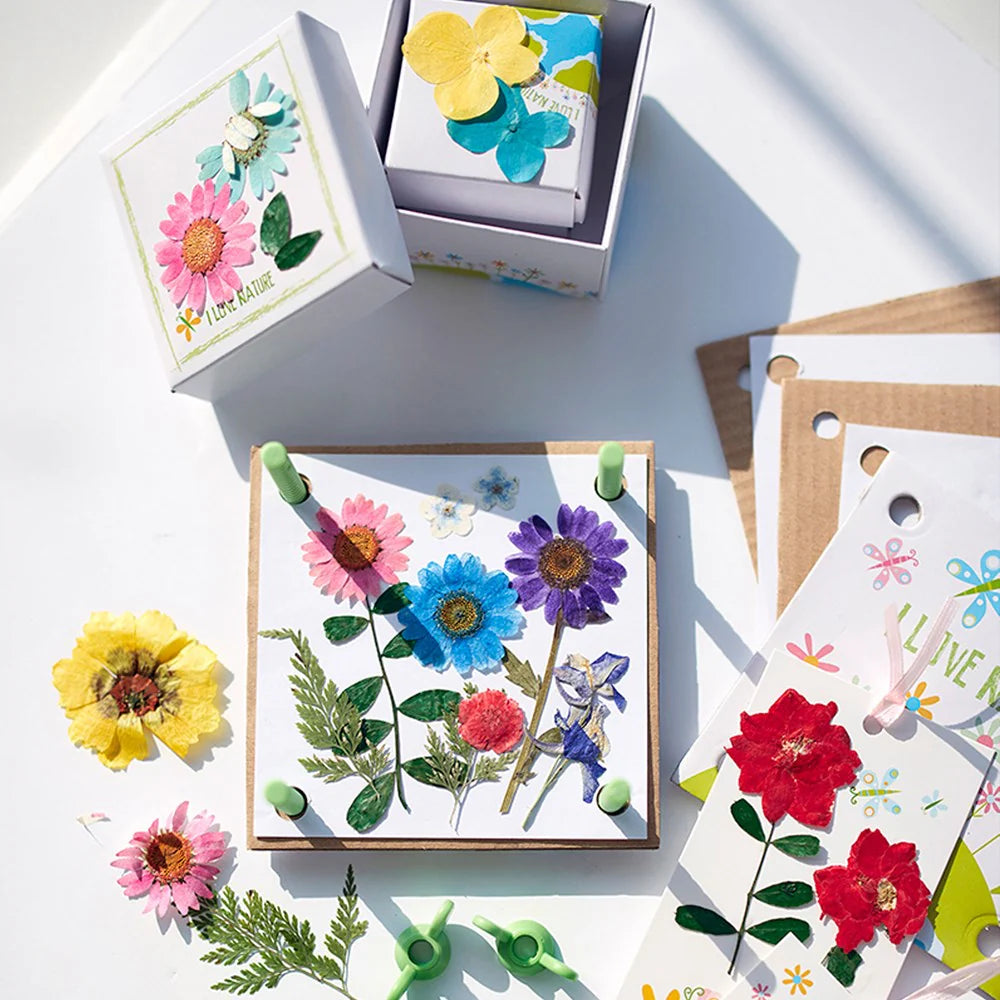 Taller de Flores Prensadas Green Creativity - 4M