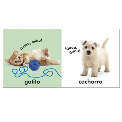 Toca y Aprende Animales - DK