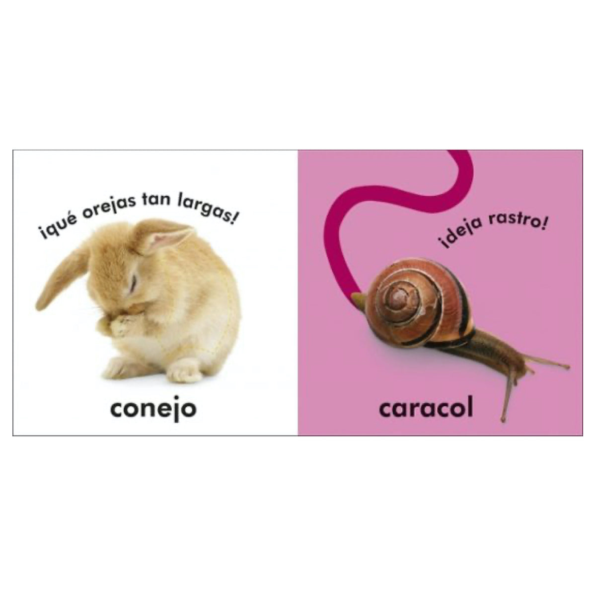 Toca y Aprende Animales - DK