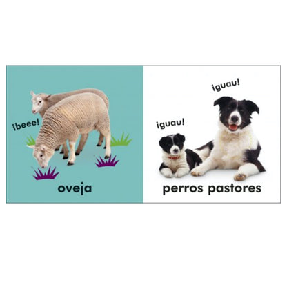 Toca y Aprende Granja - DK
