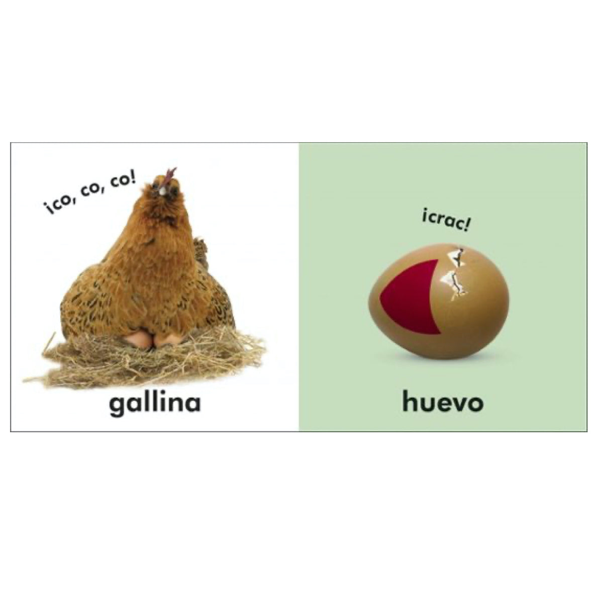 Toca y Aprende Granja - DK