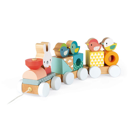 Tren de Madera Pure - Janod