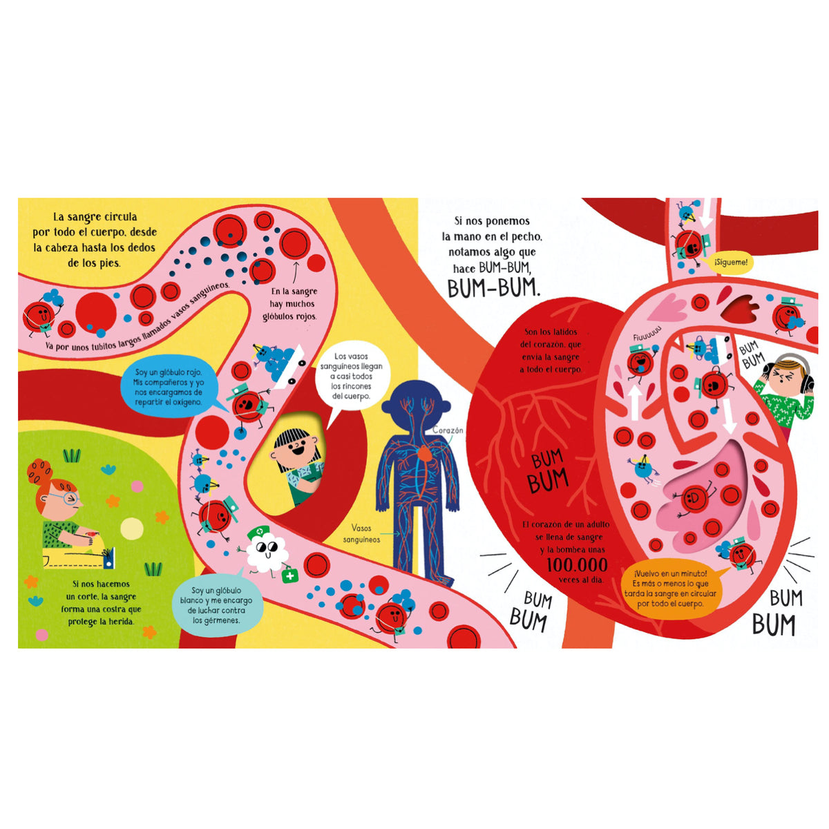 Tu Cuerpo - Usborne