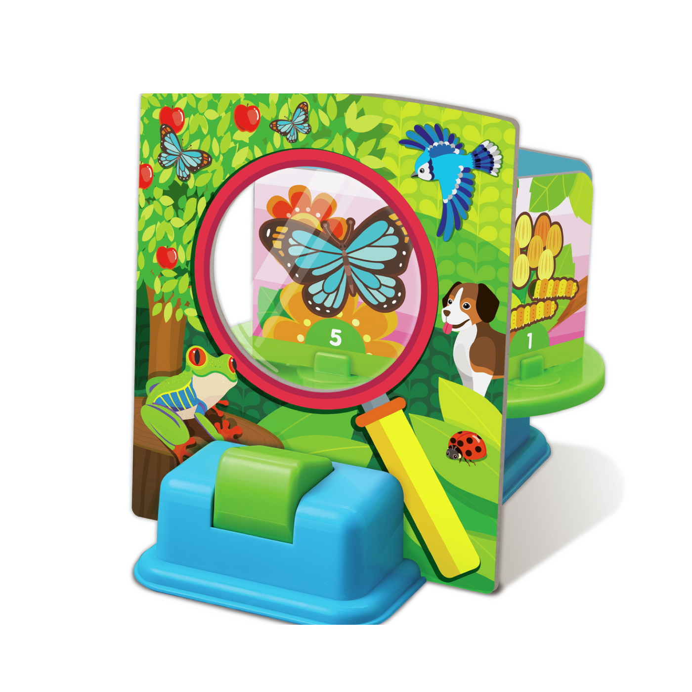 rueda-del-ciclo-vital-4m