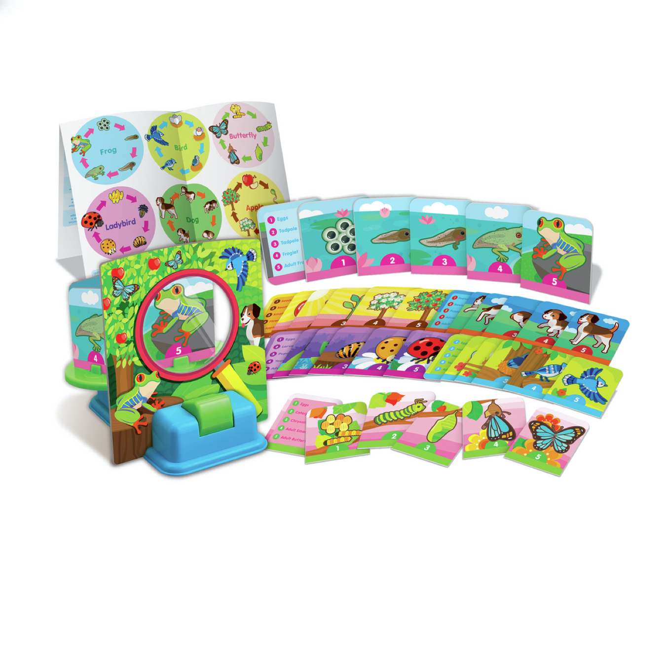 rueda-del-ciclo-vital-4m1 Rueda del Ciclo Vital - 4M