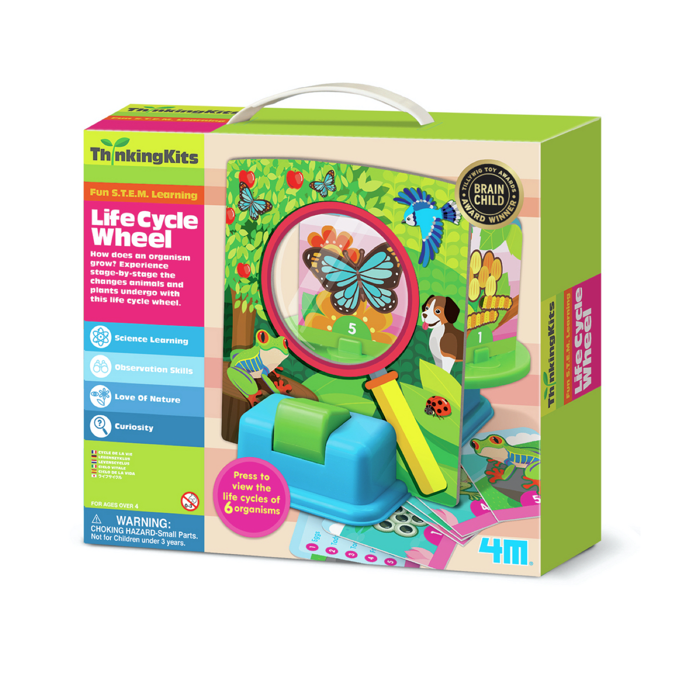 rueda-del-ciclo-vital-4m2