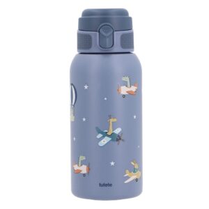 Botella de Acero Térmica Planes 500ml - Tutete